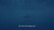 Sassy Flirty GIF by Shark Week