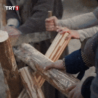 Tree Ottoman GIF by TRT