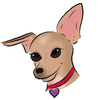 sofiaromanazzo charlie chihuahua carlottina carlottapagnotta Sticker