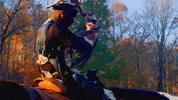 Horse Country GIF by Damez