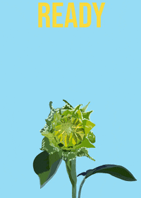 clairebrodsky  GIF