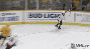 Celebrate Ice Hockey GIF by NHL