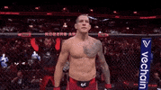 Mixed Martial Arts Sport GIF by UFC