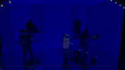 Billie Eilish Snl GIF by Saturday Night Live