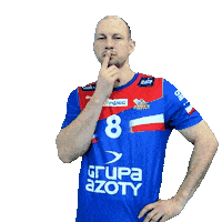 Handball Pgnigsuperliga Sticker by KS Azoty-Puławy S.A.