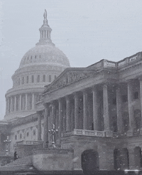 Snow Dc GIF by GIPHY News