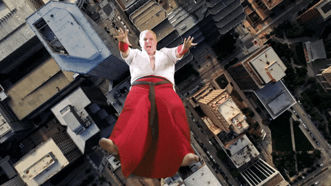 Geese Howard Win GIF by Mega64