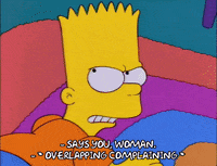 homer simpson episode 13 GIF