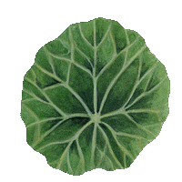 Food Nourish Sticker