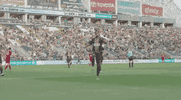 philly GIF by Philadelphia Union