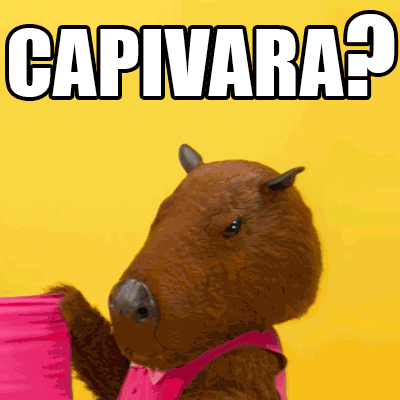 Capivara GIF by Vero Internet