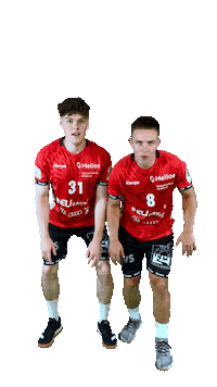 Sport Handball Sticker by Stralsunder HV