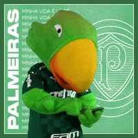 Soccer Futebol GIF by SE Palmeiras