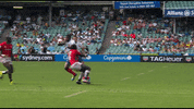 France Sport GIF by World Rugby