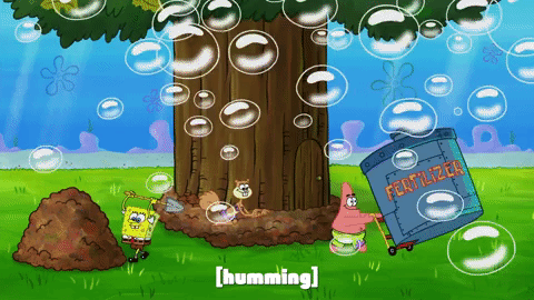 season 9 episode 23 GIF by SpongeBob SquarePants