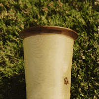 Alphorn Echo