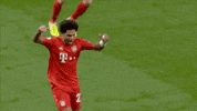 Champions League Yes GIF by FC Bayern Munich