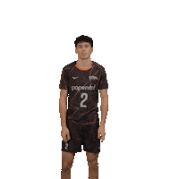 Volleyball Papendal Sticker by Nevobo