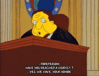 Season 1 GIF by The Simpsons