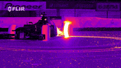 formula 1 racecar GIF by Digg