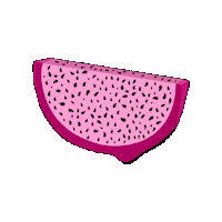 Dragon Fruit Pitaya Sticker