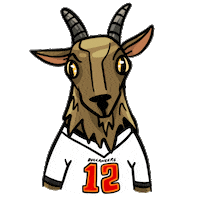 Super Bowl Football Sticker by NFL