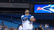home celebrate GIF by MLB