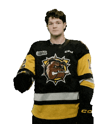 BrantfordBulldogs hockey bulldogs ohl brantford Sticker