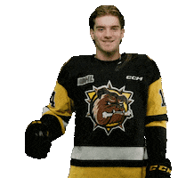 BrantfordBulldogs bulldogs ohl brantford brantford bulldogs Sticker