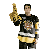 BrantfordBulldogs hockey bulldogs ohl brantford Sticker