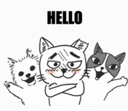 Happy The Cat GIF