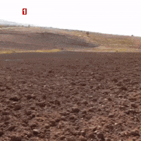 Farmer Soil GIF by TRT