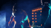Ultimate Warrior Wwe GIF by DARK SIDE OF THE RING