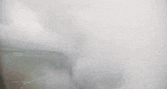 joan maria pou tv3 GIF by DLO / Magnolia
