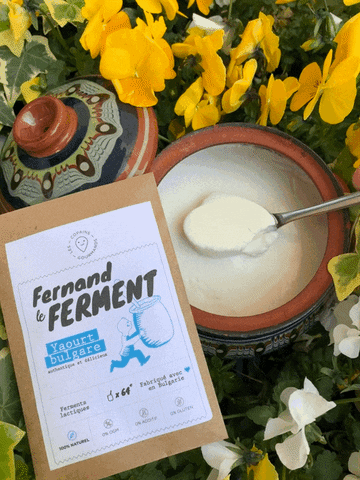 Lescopainsgourmands giphyupload homemade yogurt yaourt GIF