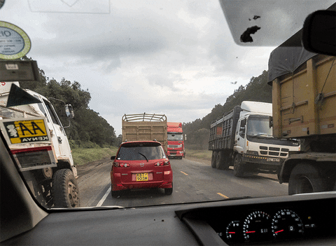 danijelmihajlovic giphyupload GIF