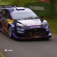 Never Give Up Wheelie GIF by FIA World Rally Championship