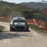 Racing Croatia GIF by FIA World Rally Championship