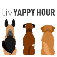 Liv Logos Sticker by Liv Communities