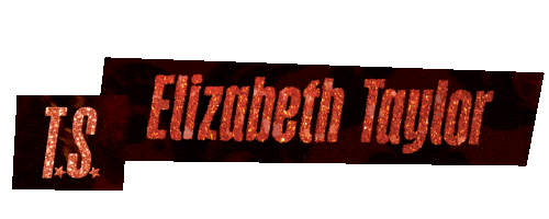 Elizabeth Taylor Glitter Sticker by Taylor Swift