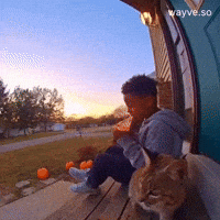 Mood Feels GIF by Darwin