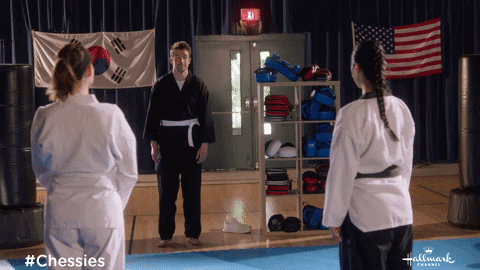 Martial Arts Karate GIF by Hallmark Channel