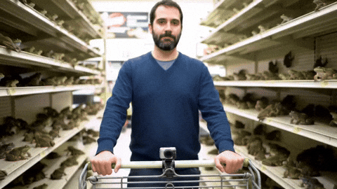 nmyron giphyupload GIF