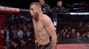 Justin Gaethje Sport GIF by UFC