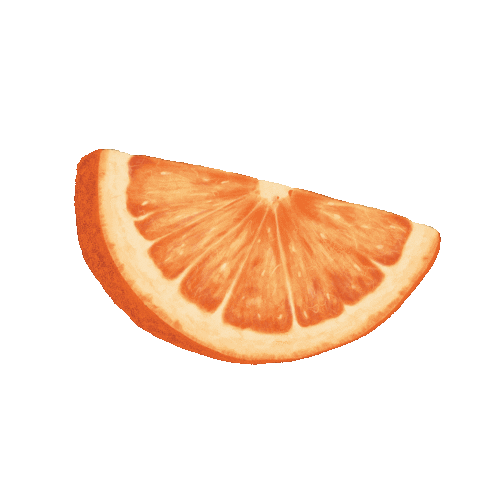 Eat Orange Slice Sticker