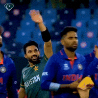 beinpakistan_ india cricket world cup Pakistan GIF