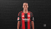 Eintracht Frankfurt Smile GIF by Bundesliga