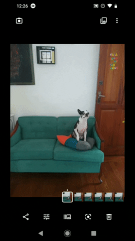 Matildamy giphyupload GIF