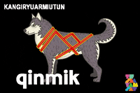 Inuvialuit GIF by Tusaayaksat Magazine