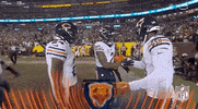 National Football League GIF by NFL